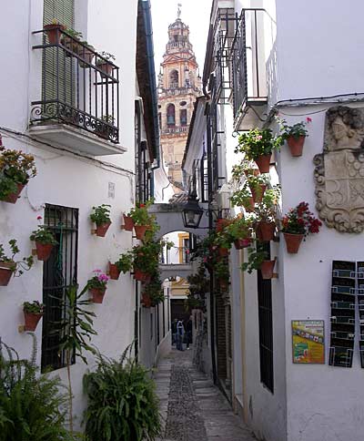 Calle de las Flores.